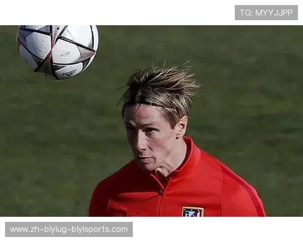 托雷斯欧冠表现与职业生涯回顾