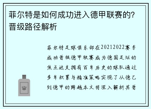菲尔特是如何成功进入德甲联赛的？晋级路径解析